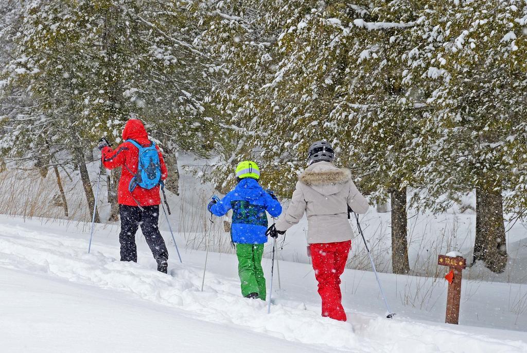 Canaan Valley Resort State Park 데이비스 외부 사진