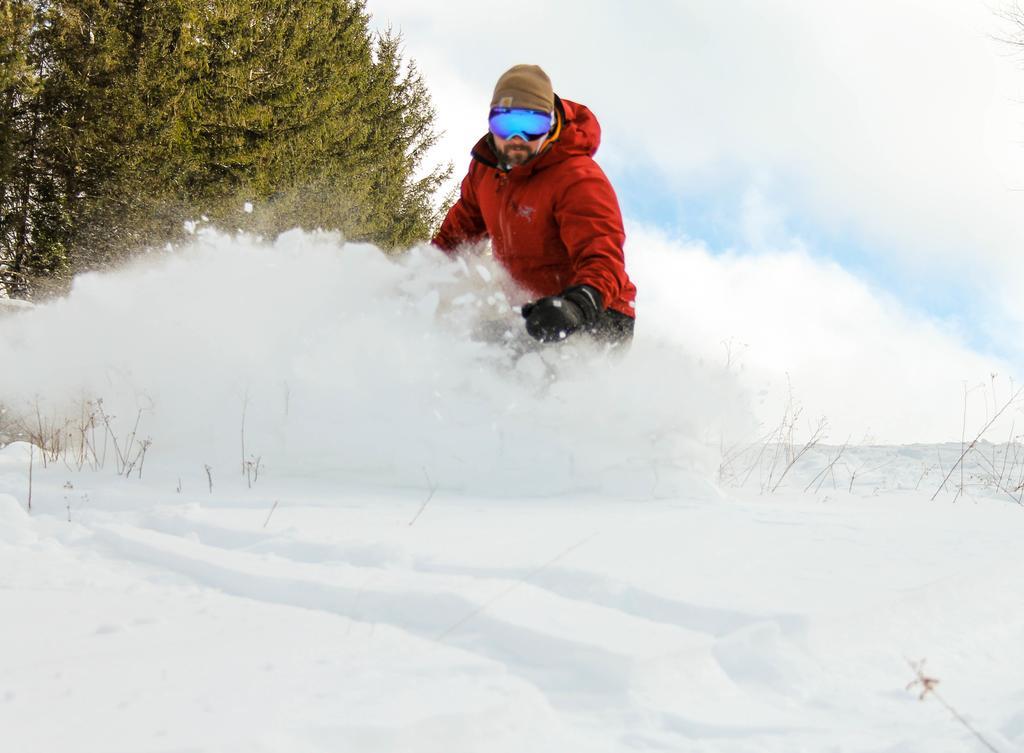 Canaan Valley Resort State Park 데이비스 외부 사진
