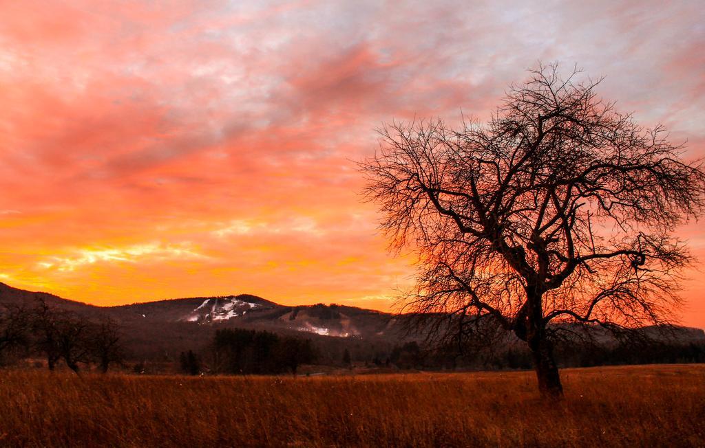 Canaan Valley Resort State Park 데이비스 외부 사진