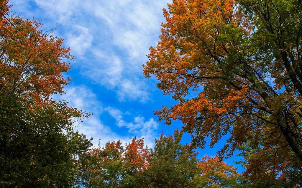 Canaan Valley Resort State Park 데이비스 외부 사진