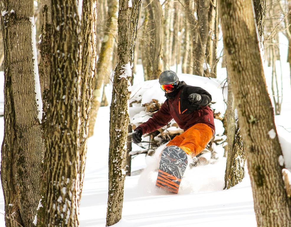 Canaan Valley Resort State Park 데이비스 외부 사진