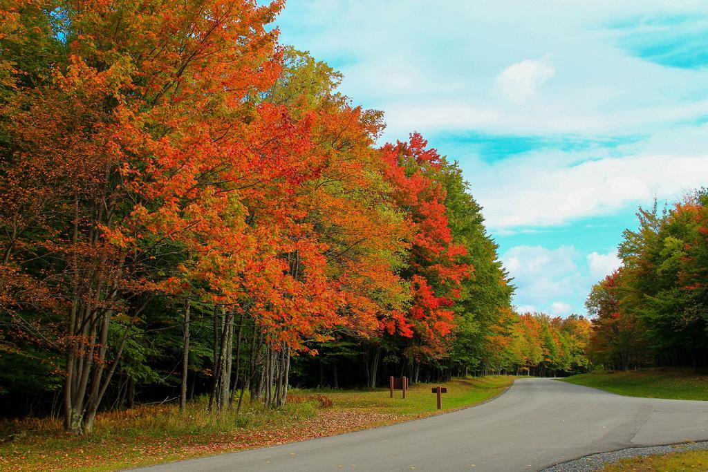 Canaan Valley Resort State Park 데이비스 외부 사진