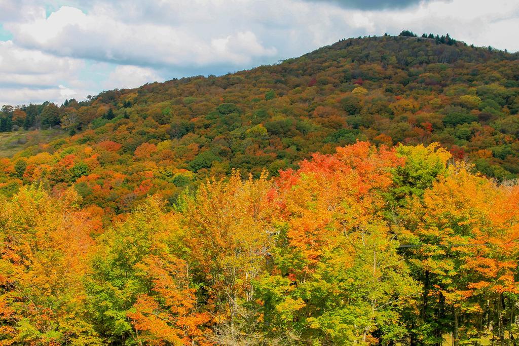 Canaan Valley Resort State Park 데이비스 외부 사진