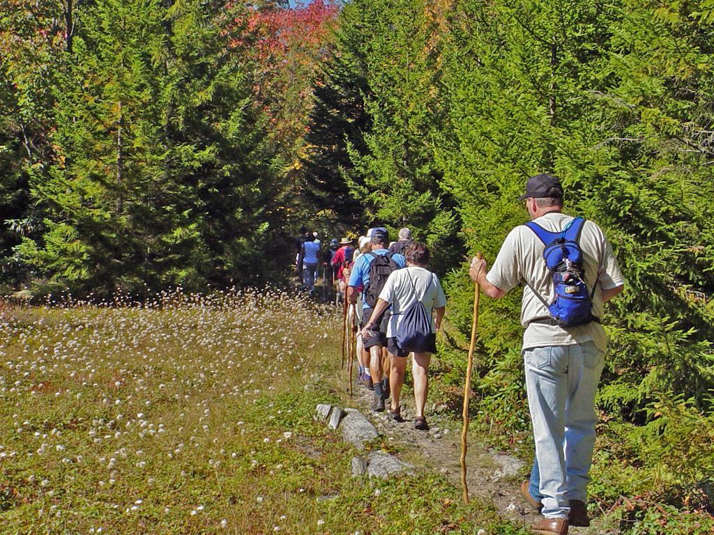 Canaan Valley Resort State Park 데이비스 외부 사진