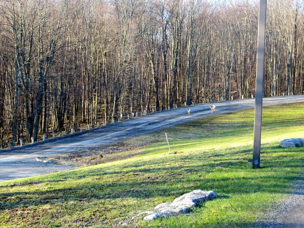 Canaan Valley Resort State Park 데이비스 외부 사진